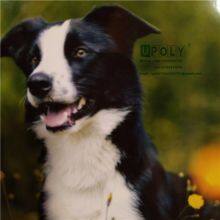 PVC Transparent Gloss Cold Lamination Film Photo Protective Film thumbnail-3