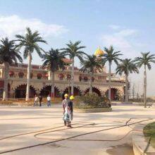 Customization Make High Quality Artificial Coconut Palm Tree for School Decoration 5 Meters Simulation Bonsai Palm Trees thumbnail-3