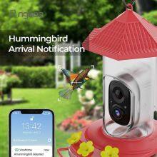 Ringsee Auto Bird Feeder Camera IP65 Waterproof Wireless WIFI IR Night Vision Bird Feeder Camera for Outdoor thumbnail-2
