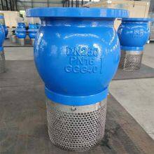 ANSI Flange Foot Valve for Industrial Pumping 2Cr13 Stem & PTFE Seat thumbnail-5