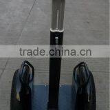 New Model Electric Chariot Balance Scooter