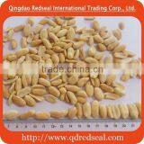 2016 Salted Roasted Peanut Kernels