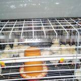Chicken Battery Cages thumbnail-1