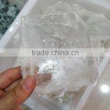 Wholesale Clear Gypsum Fossil Crystal Specimen Laboratory Specimen thumbnail-2