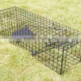 Single Door raccoon cage trap
