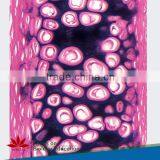 Individual Slides You Can Choose Educational Student Histology Microscope Prepared Slides of Epiglottic Cartilage Sagittal Sec thumbnail-1