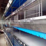 Durable Automatic Hot Dip Galvanized Layer Poultry Cage thumbnail-2