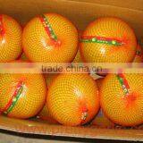 New Fresh Pomelo 2012 thumbnail-1