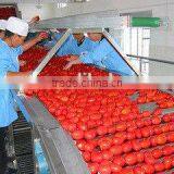 28-30% Cold Break Tomato Paste Factory China thumbnail-6