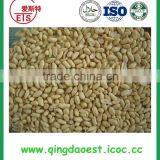 Chinese Blanched Peanut With Factory Price and Good Quality thumbnail-4