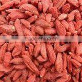 BNP Certified Organic Top Quality & 100% Natural Goji Berries thumbnail-1