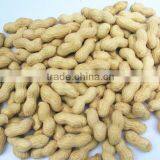 Chinese Peanut Kernel and Peanut Kernel for Material thumbnail-4