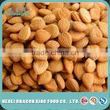 Apricot Kernel Seeds thumbnail-1