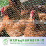 hot sale rabbit wire mesh