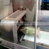 Multi-functional Fresh Aubergines Packing Machine/Flow Vegetable Wrapping Machine thumbnail-6