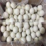New Design Wool Dryer Balls thumbnail-1