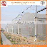 Agriculture Equipment Multi-span 12m Plastic PE Film Agriculture Greenhouse for Sale thumbnail-6