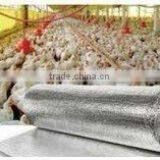 Aluminum Foil Bubble Insulation: Used in Wall/ Roof for Insulation thumbnail-3