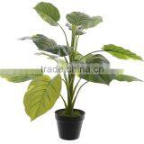 SJ0301115 Ornamental Landscaping Aquarium Plants Garden Decorative Green Plants thumbnail-3