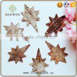 Natural Flowers Star Type Version of the Bark thumbnail-5