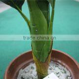 Artificial Bonsai Plants Artificial Red Palm Bonsai Decor thumbnail-5