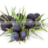 Juiper Berry Oil thumbnail-3