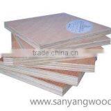 Commercial Plywood