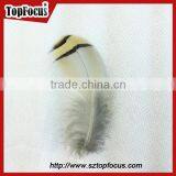 Wholesale Down Pheasant Partridge Plumage Natural Pheasant Feathers Prices thumbnail-3