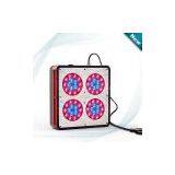 Apollo LED Grow Lights thumbnail-1