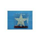 CHRISTMAS STAR HH-6931 thumbnail-1