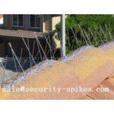 Bird Spikes thumbnail-3