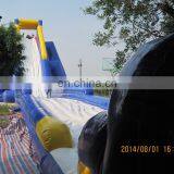 Top Design Giant Commercial Inflatable Slides for Sale WS070