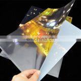 Printed l Shape a4 Transparent Folder