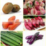 Cucumber/Radish/ Carrot/ Vegetable Washing Machine thumbnail-4