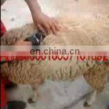 Best Quality Electric Sheep Shears/sheep Wool Clipper/ Professional Cordless Wool Shears thumbnail-1