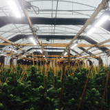 Light Deprivation Greenhouse with Ventilation System