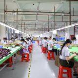 Shenzhen Mycolor Cosmetics Co.,Ltd company overview - view 2 thumbnail