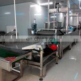 Plantain Chips Packaging Machine/plantain Chips Drying Machine/plantain Chips Maker Machine thumbnail-5