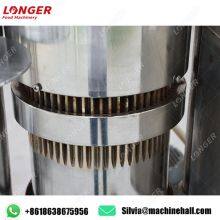 Automatic Cocoa Oil Press Machine Cocoa Press Machine for Sale thumbnail-2