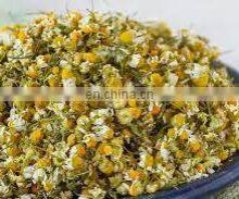 Vietnam Organic Dried Chrysanthemum Flower Tea/ High Quality Natural and Healthy Dried Daisy Flower Herbal Tea From Vietnam thumbnail-5