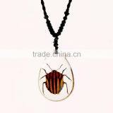 New Fashion Lovely Necklace With Real Insect thumbnail-1