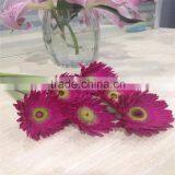 Fresh Cut Flower Of Stem 45-60 cm Gerbera Popular Wholesale thumbnail-5