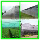 Suntex 100% Virgin HDPE Strong Insect Sail for Greenhouse Roof With UV thumbnail-3