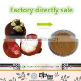 GMP factory supply competitive price Mangosteen Extract Alpha-mangostin herbal antiviral