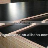 fine black film faced plywood