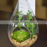 2016 New Style Home Decor Ashtrays Indoor Glass Plant Terrarium thumbnail-5