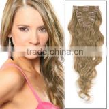 clip on human hair extension/top high quality human hair/100% human hair