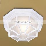 The Outdoor and Porch 1 Light Flush Ceiling Light with attractive and beautiful looking