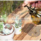 Glass Spray Bottle for Home Decoration thumbnail-6