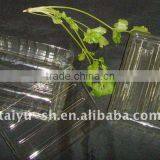 Clear Plastic Insert Box thumbnail-1